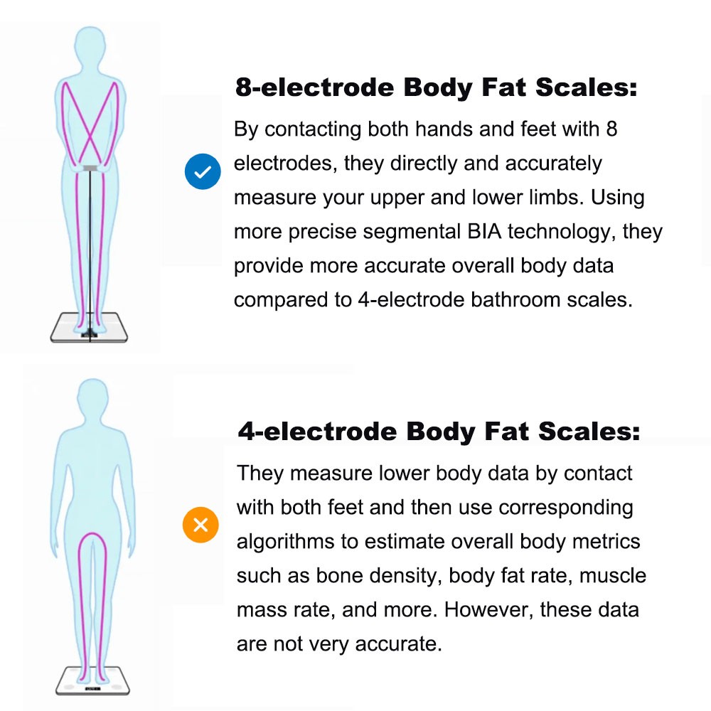 Body Fat Scales with Hand Sensor Full Body Composition Scale Universal White