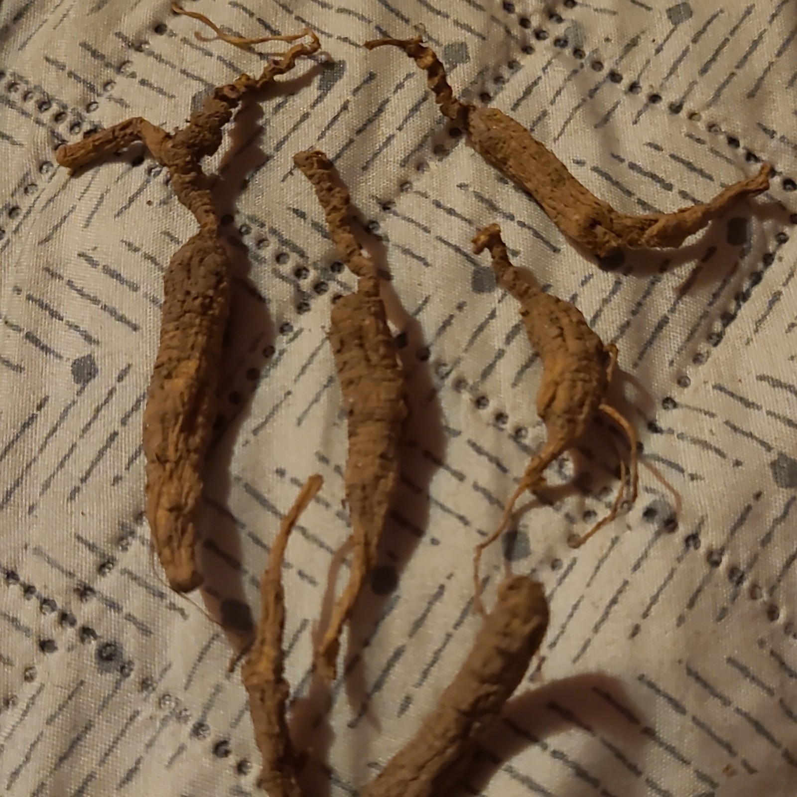 Dried Ginseng Root Herb – Oral Administration, Unisex Adult, Body Area Use