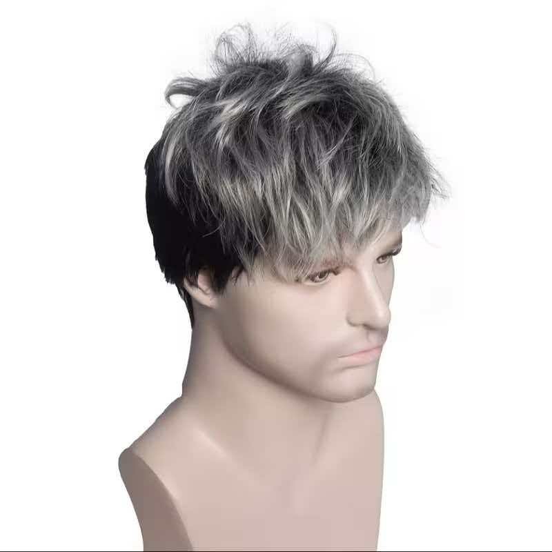 Men’s 6in Short Silver Gray Wig Full Cosplay Synthetic Heat Resistant