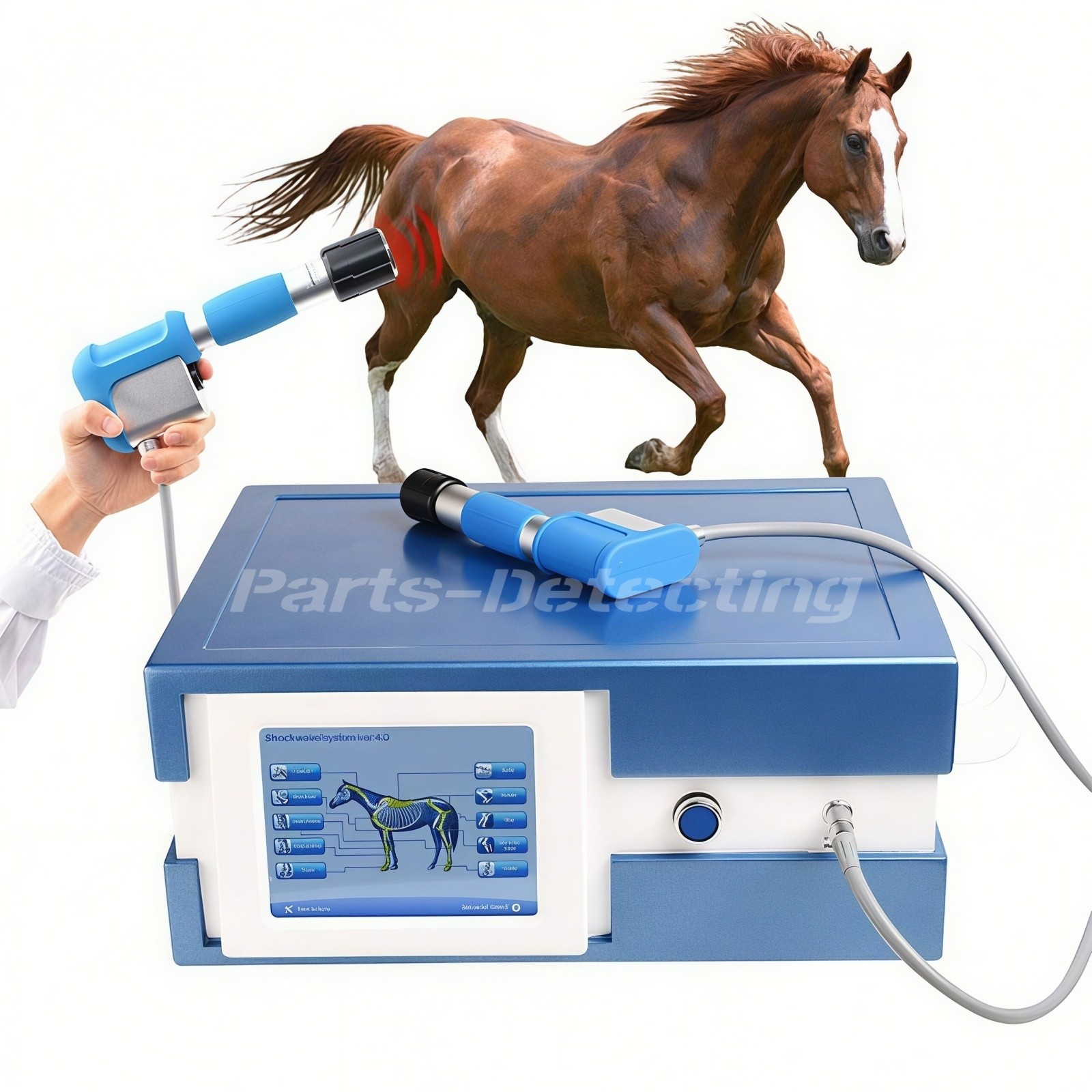 Equine Veterinary Shock Wave Theory Machine Horse Shockwave Therapy Pain Relif