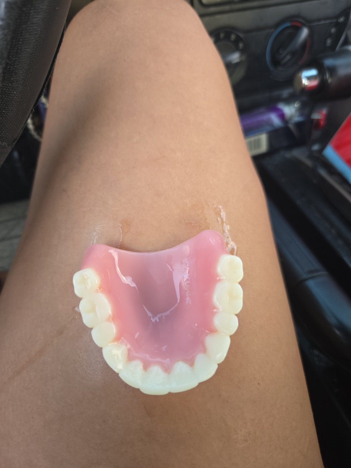Upper Denture Set with Case False Teeth