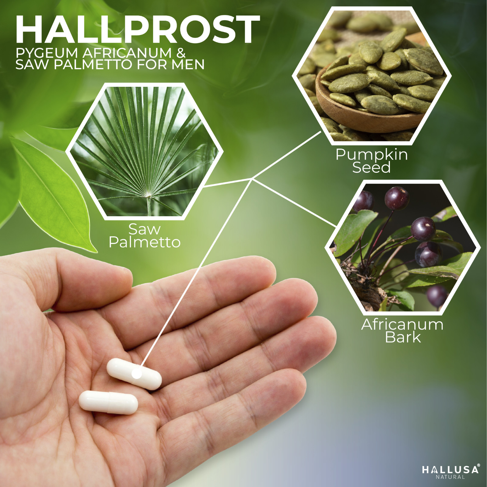 HALLPROST – Inflamed Prostate – Prostatitis – BPH – Urinary Function – 60 Cap