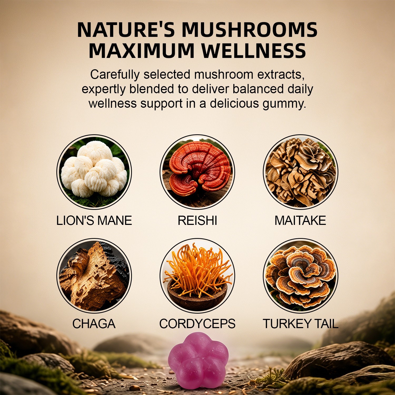 10x Mushroom Complex Supplement, Lions Mane, Reishi, Shiitake, Immune Gummies