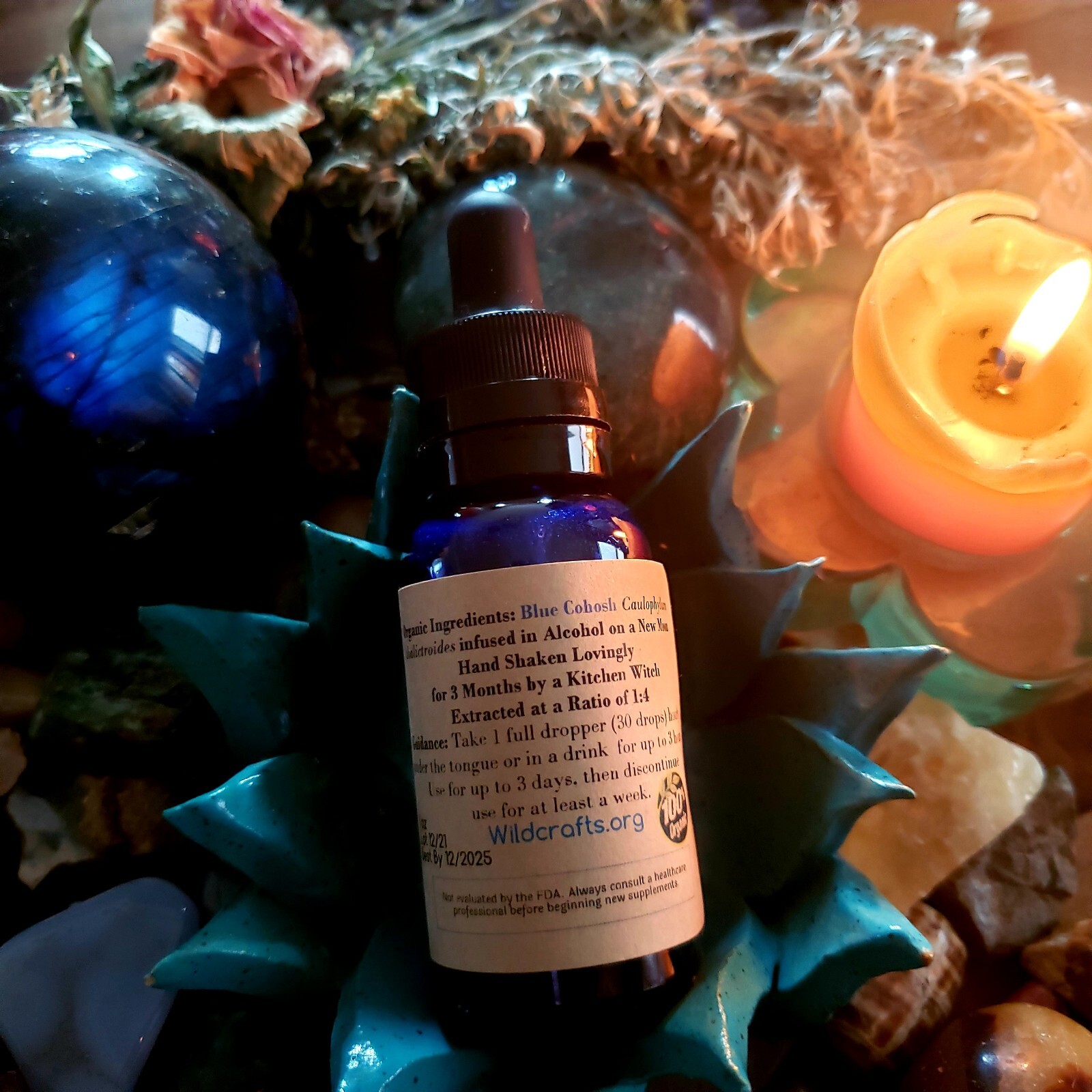 Blue Cohosh Organic Tincture Herbal Extract Handcrafted & Aged 1 Year