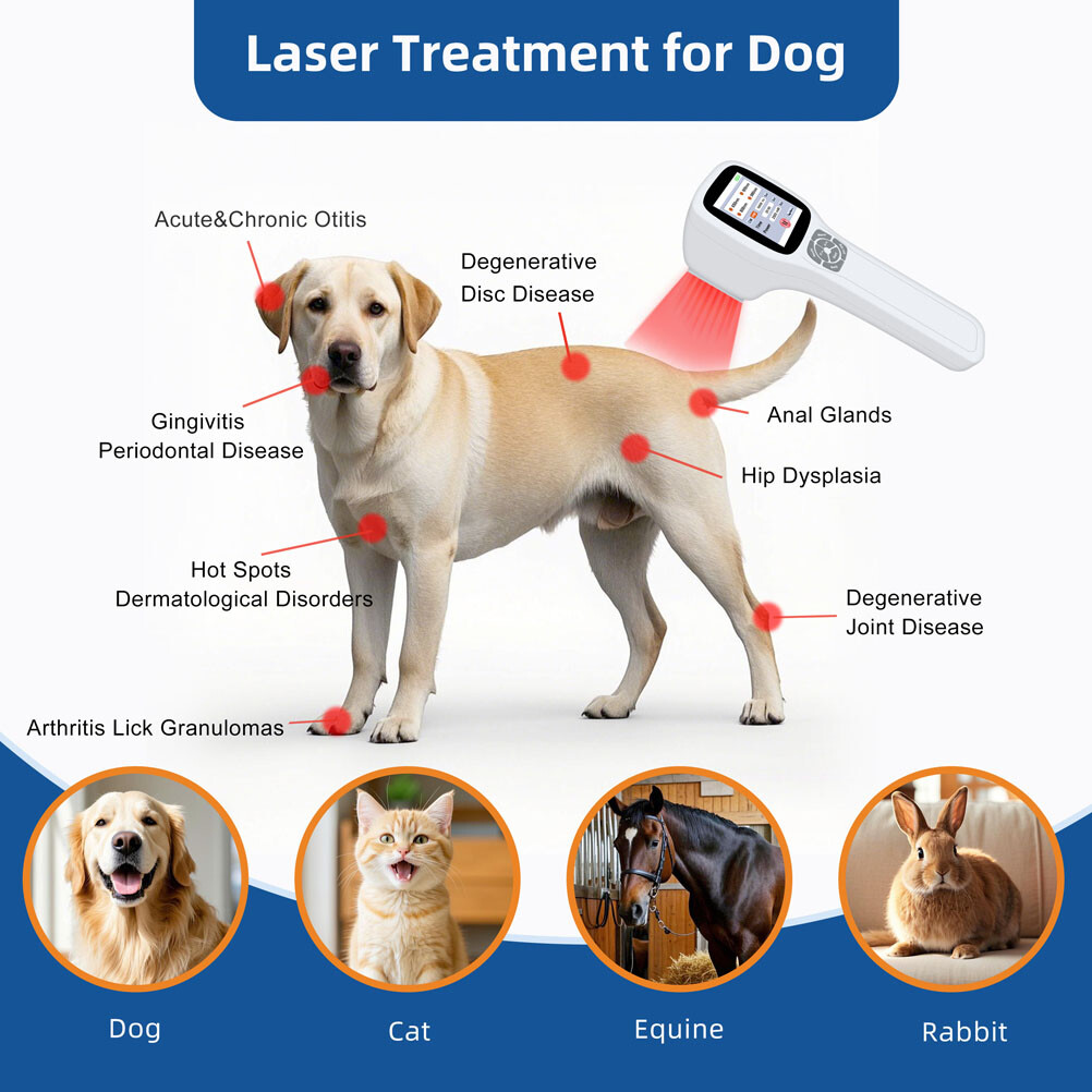 Handheld FourWave Cold Laser Equipment Touch Control Red Light Therapy Device