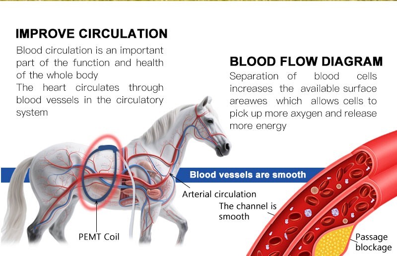 PMST Loop EMTT PEMF Machine Magnetic Physio Therapy Massage Pain Relief Animals