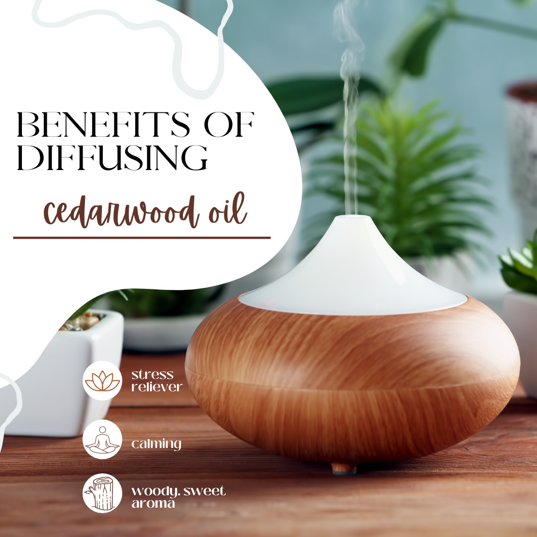 GreenHealth Cedarwood Atlas Essential Oil 100% Pure Many Sizes Free Shipping