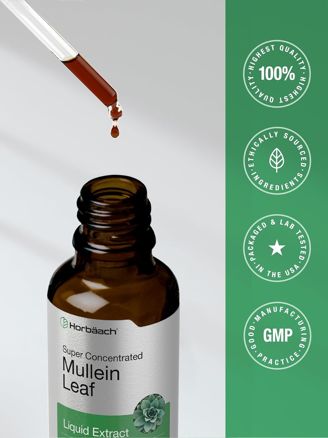 Mullein Leaf Liquid Extract | 2 fl oz | Alcohol Free, Vegetarian | by Horbaach