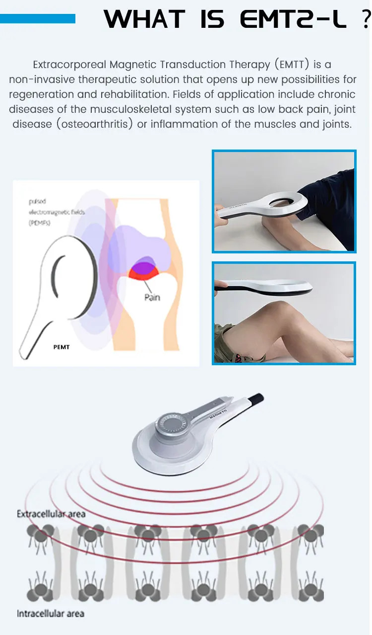PMST Magnetic Therapy PEMF EMTT Physio Magneto Home Use Pain Relief Massager