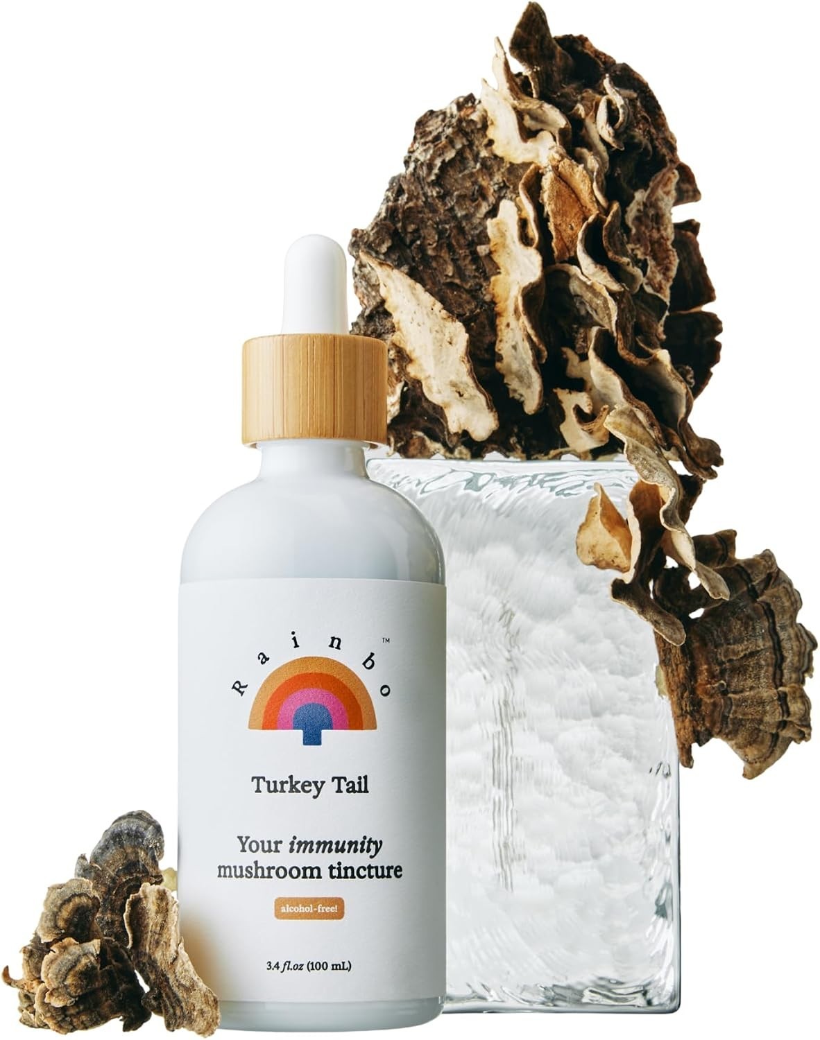 Turkey Tail Mushroom Tincture – Dual Extract Mushroom Supplement 100 mL