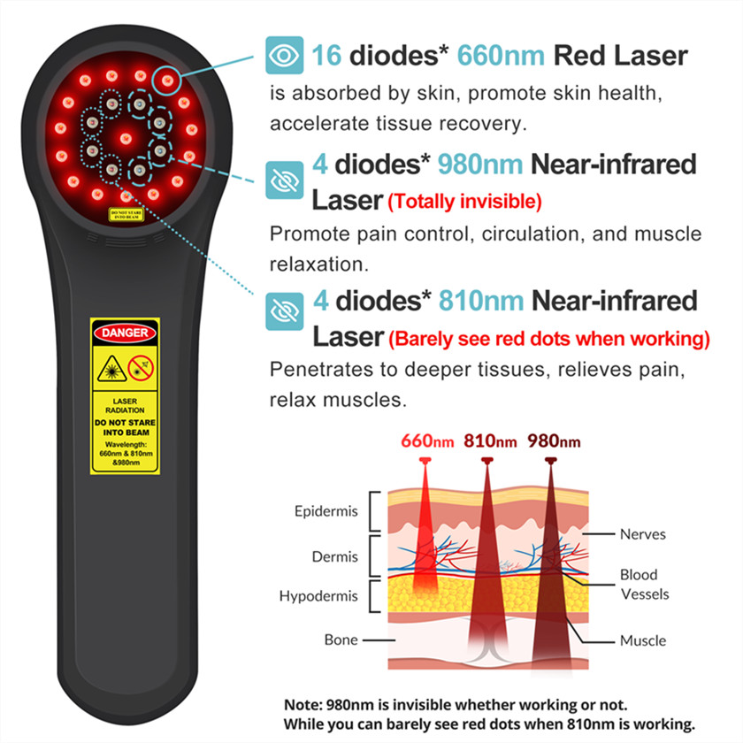 1760mW LLLT Low Level Laser Therapy Device For Human And Animals Home Use