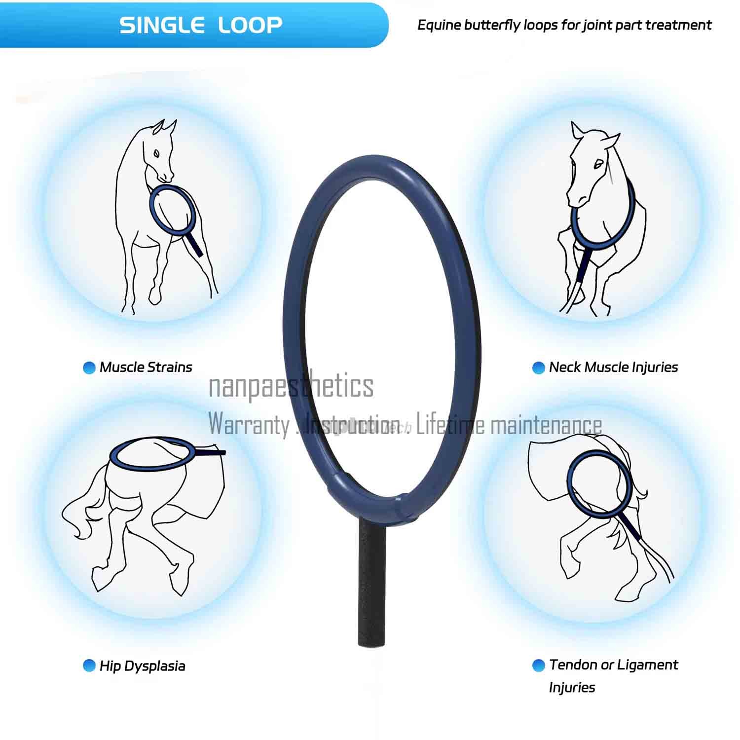 PMST Loop EMTT PEMF Physio Magneto Transduction Therapy Physiotherapy Machine