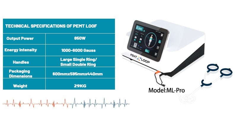 PMST Loop EMTT PEMF Machine Magnetic Physio Therapy Massage Pain Relief Animals