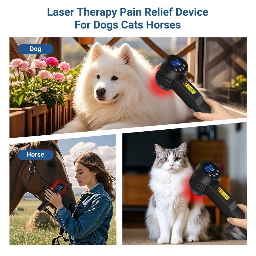 5W Cold Laser Therapy Rechargeable 650NM*10 808NM*15 Pet Dog Back Pain Relief