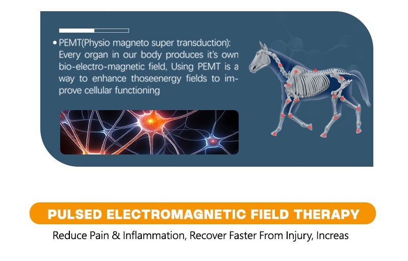 PEMF Therapy PMST LOOP Physio Magnetic Therapy with Large Loop & Butterfly Loop
