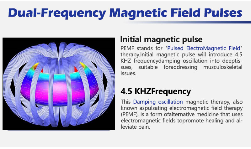 Professional Pemf Physio Magnetic Therapy Pmst Loop Pemf Health Care Device