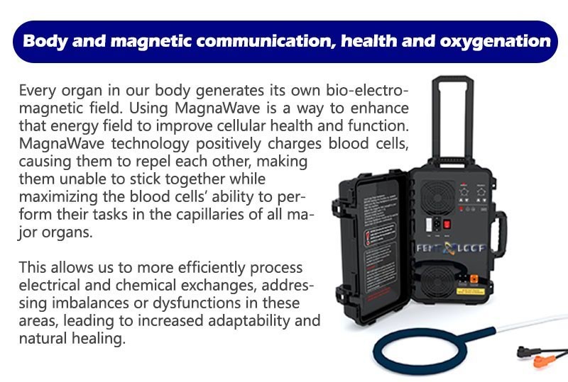 Equine PEMF Device PMST LOOP + DOUBLE PADS Magnetic Therapy Pain Relief Machine