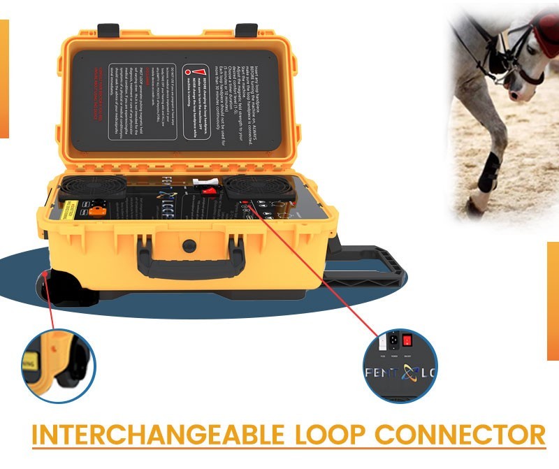 PEMF PMST LOOP Magnetic Therapy Machine for Horse Human Pain Rehabilitation