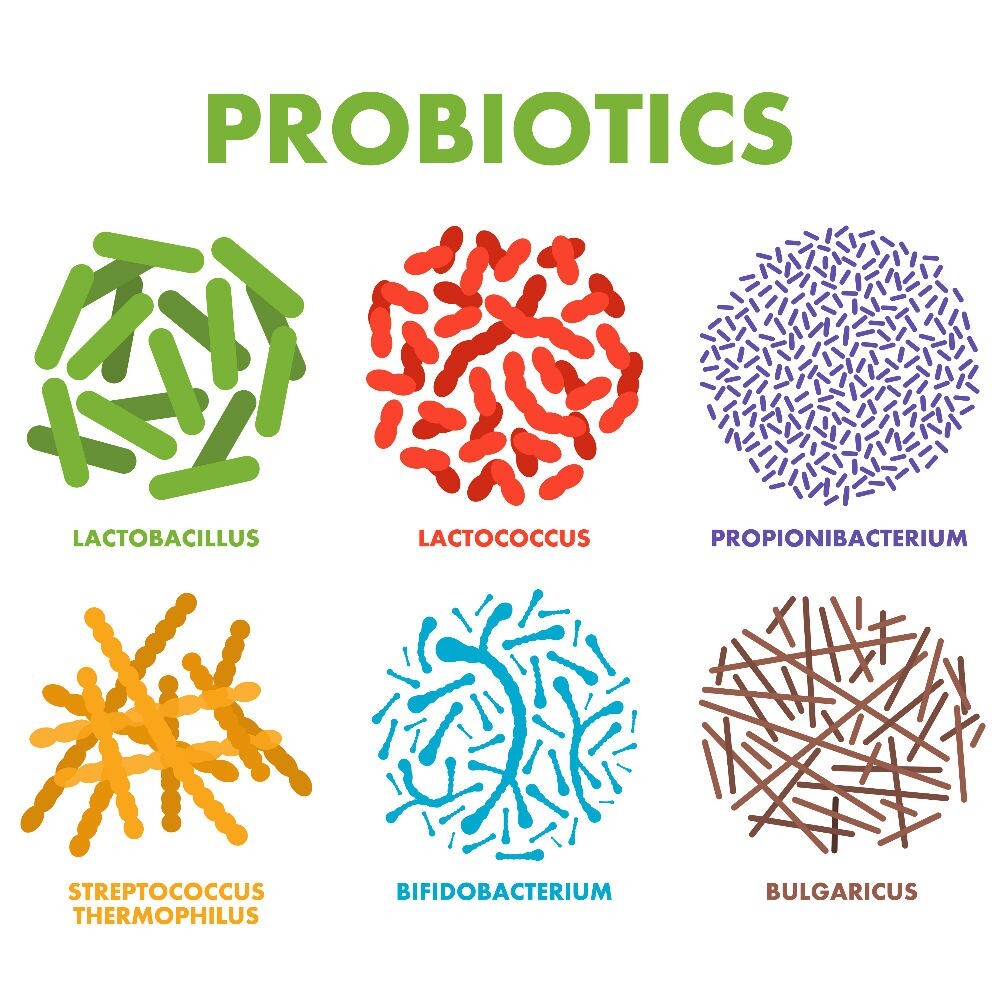 Raw Probiotics 100 Billion CFU Potency Digestive Immune Health 120 Capsules USA