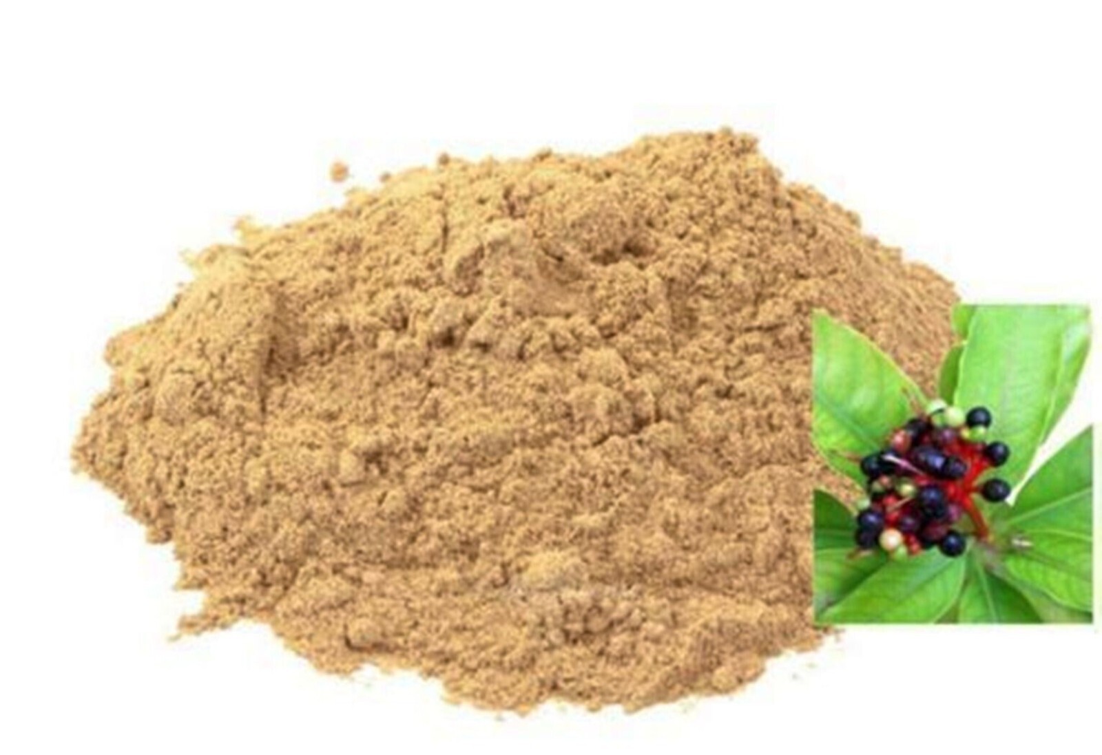Sarpagandha Snakeroot Rauwolfia Serpentina Serpentine Root Powder 60g to 1Kg FS