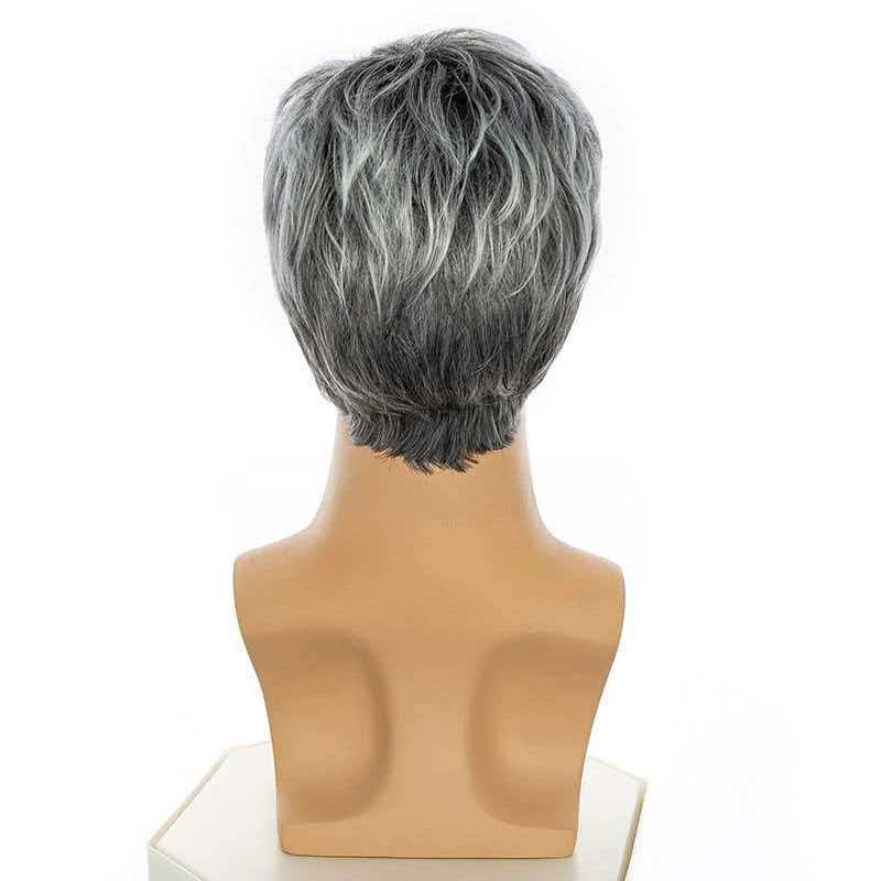 Men’s 6in Short Silver Gray Wig for Men Full Synthetic Heat Resistant Cosplay