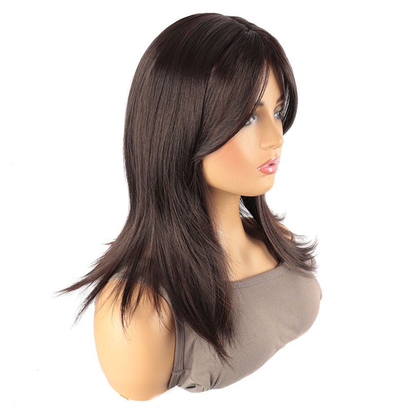 Brown Parted Bangs Long Straight Wig for Women Heat Resistant Synthetic Full Wig