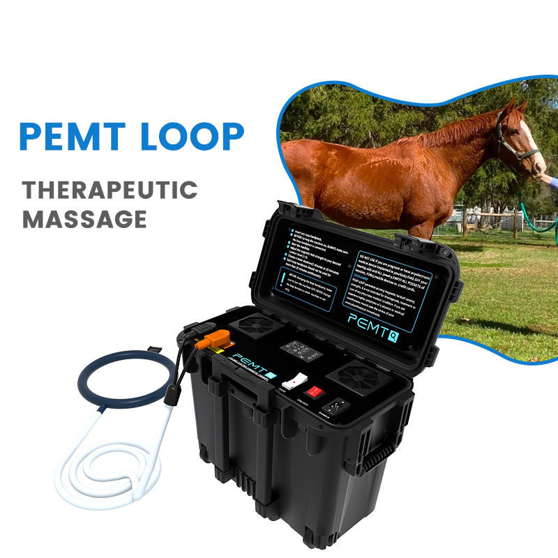 Pro PMST Magnetic Therapy PEMF EMTT Physio Magneto Home Use Pain Relief Machine