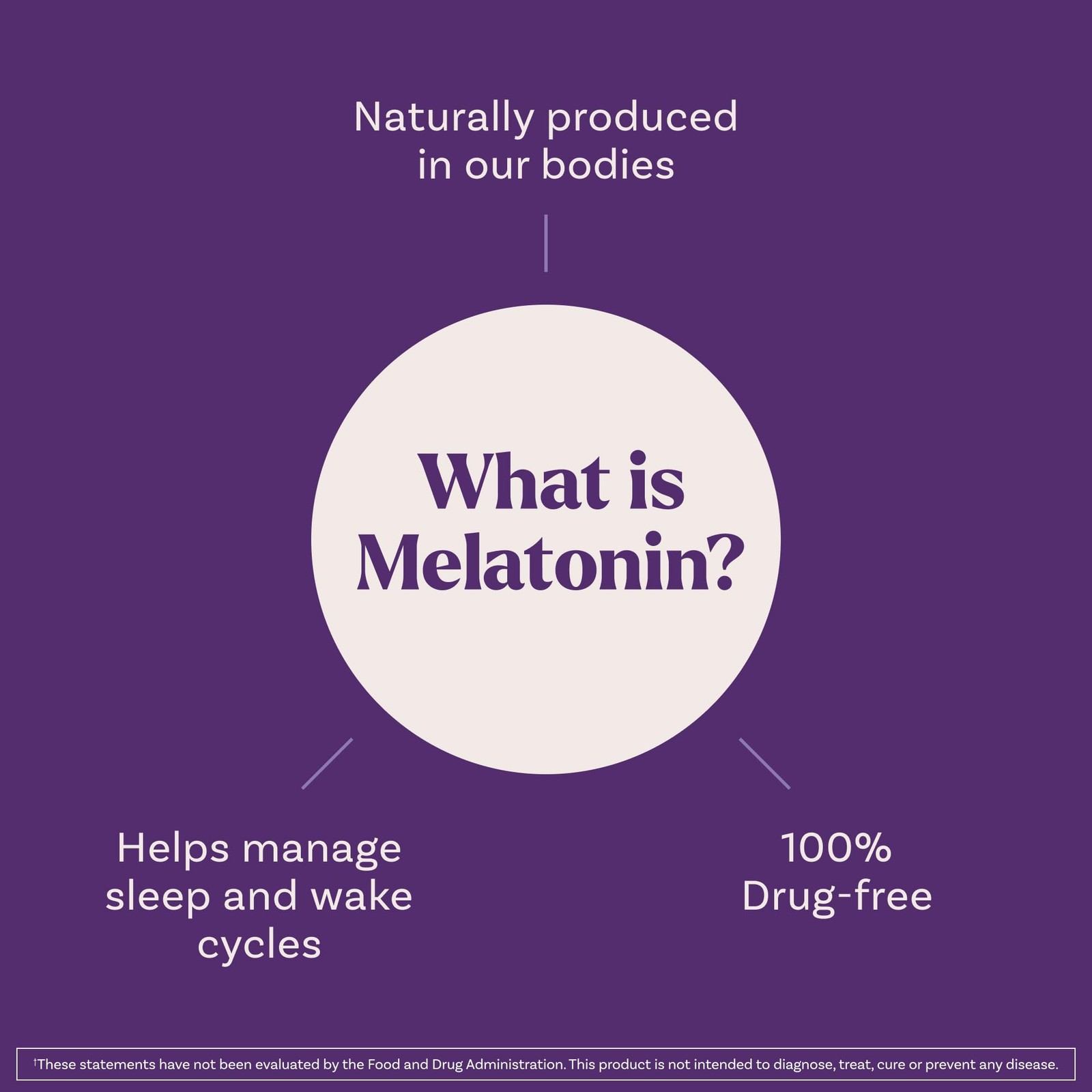 Natrol Melatonin 5Mg Dissolve Tablets Sleep Support Supplements For Adults