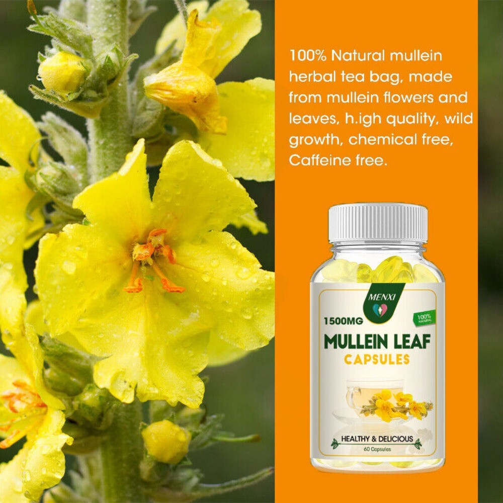 Mullein Leaf 240 Capsules for Lung Cleansing & Detox Herbal Dietary Supplement
