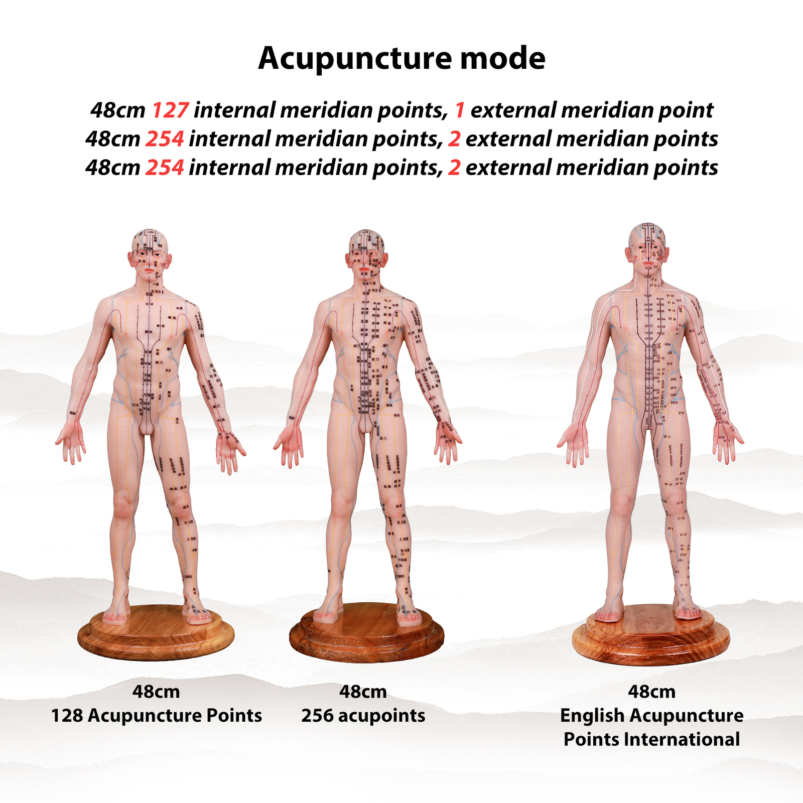Acupuncture Model Human Acupoint Silicone Doll Acupuncture Point Display 48/55cm