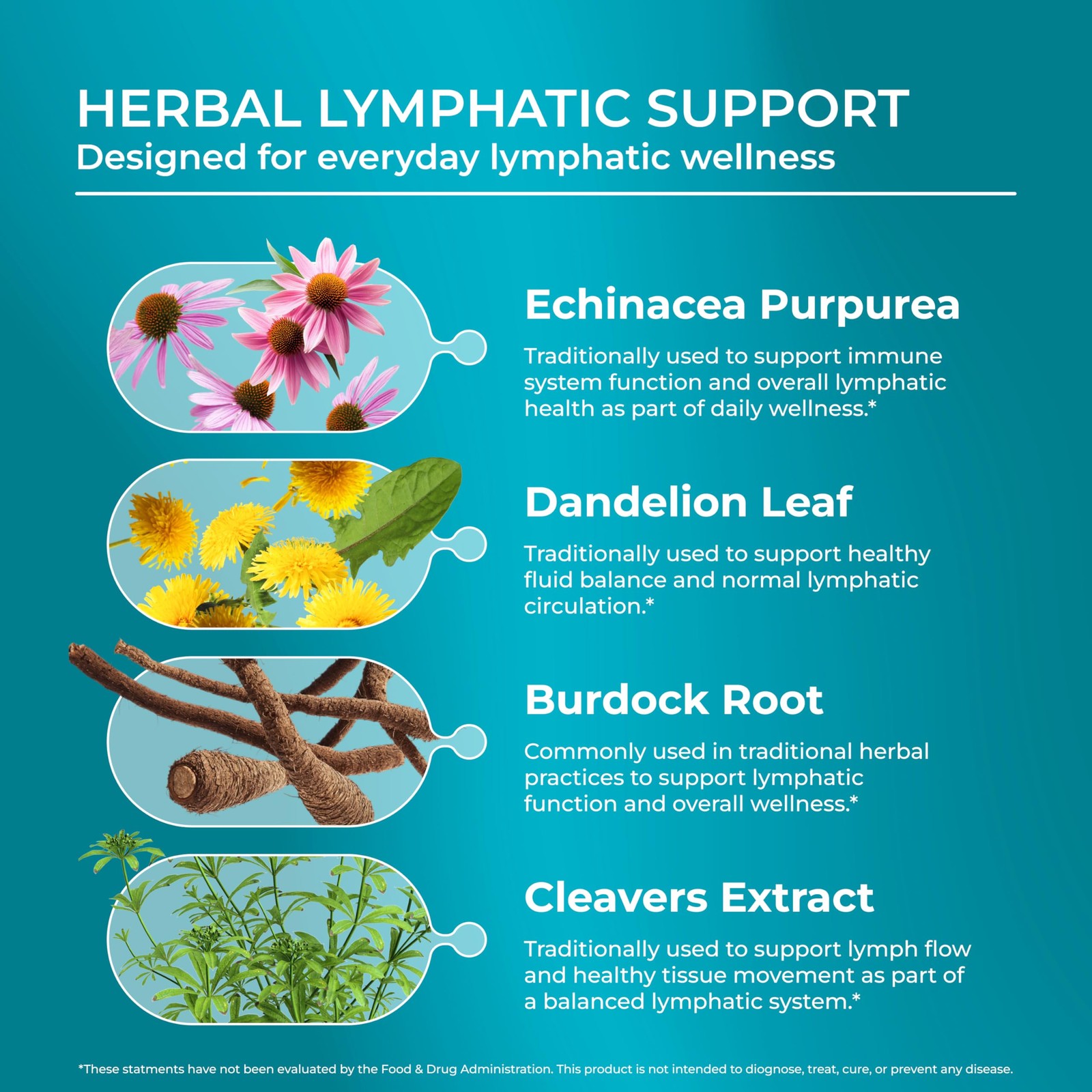 Lymph System Support Supplement Lymphatic Drainage 60 Capsules PUREHEALTH Women