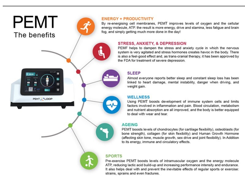 PMST Loop PEMF EMTT Physio Magneto Therapy Home Use Massage Pain Relief Machine