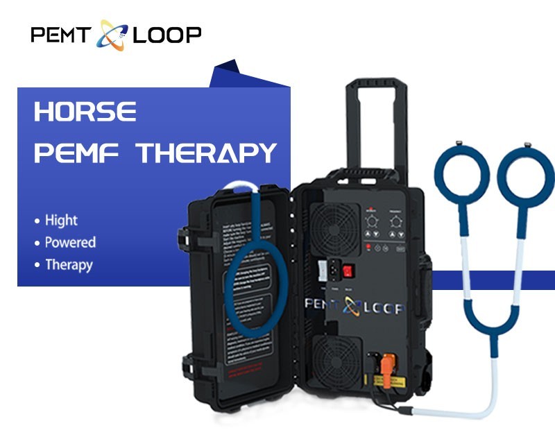 PMST Loop EMTT PEMF Machine Magnetic Physio Therapy Massage Pain Relief Animals