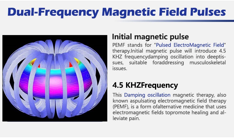 PEMF Pulse Electromagnetic Therapy PMST Machine Magnetic Physio Therapy Magneto
