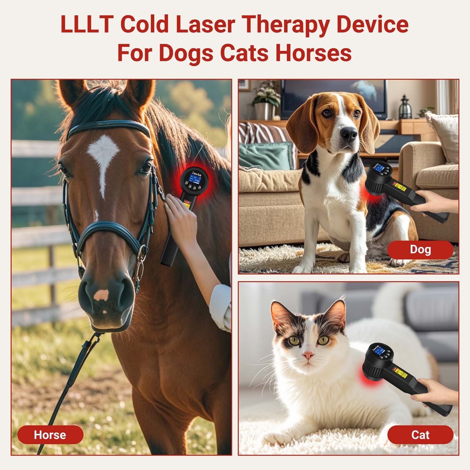 5W Cold Laser Therapy Rechargeable 650NM*10 808NM*15 Pet Dog Back Pain Relief