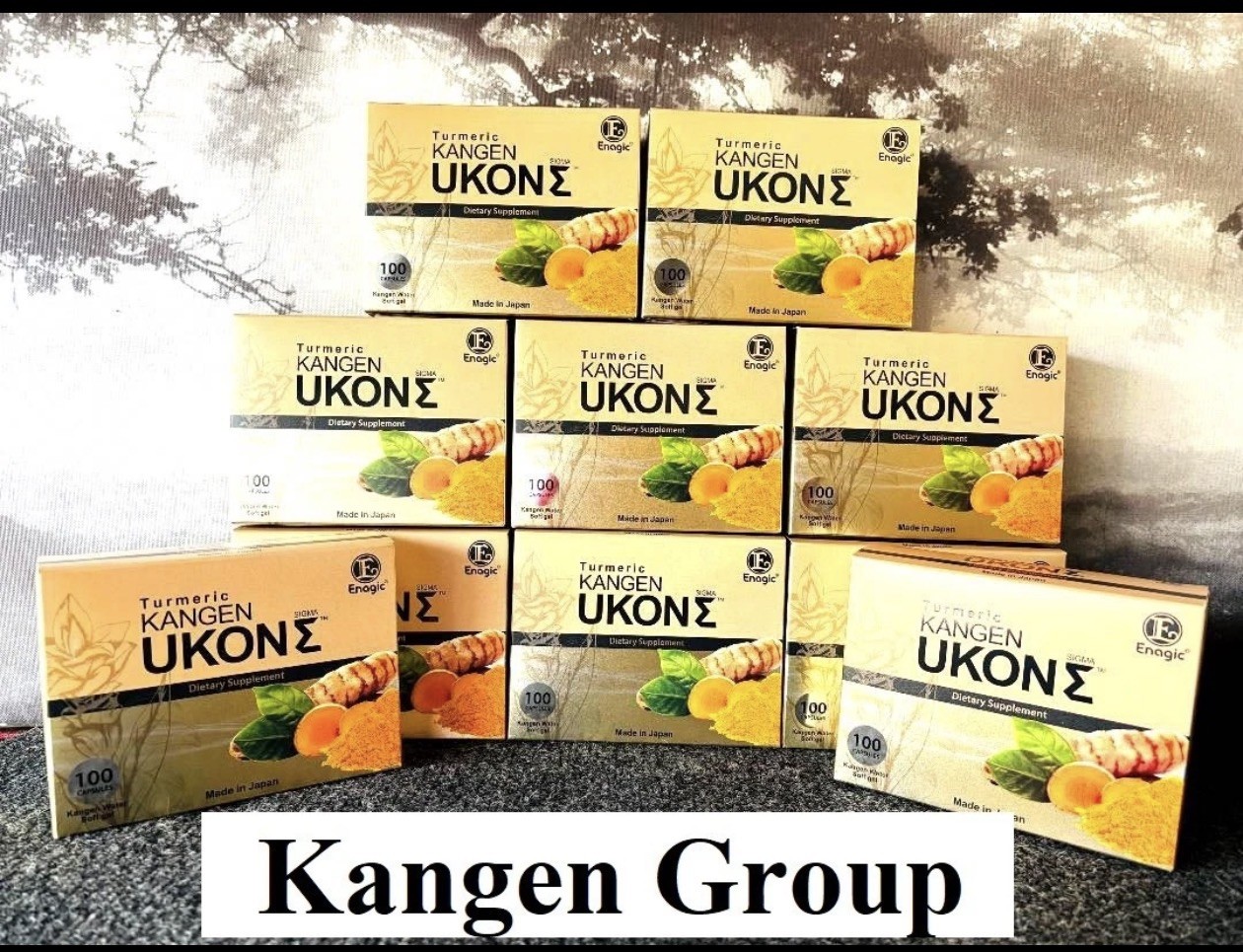 10 Boxes Turmeric Kangen Ukon Turmeric ENAGIC 100 Vegan Softgels Exp 10/28