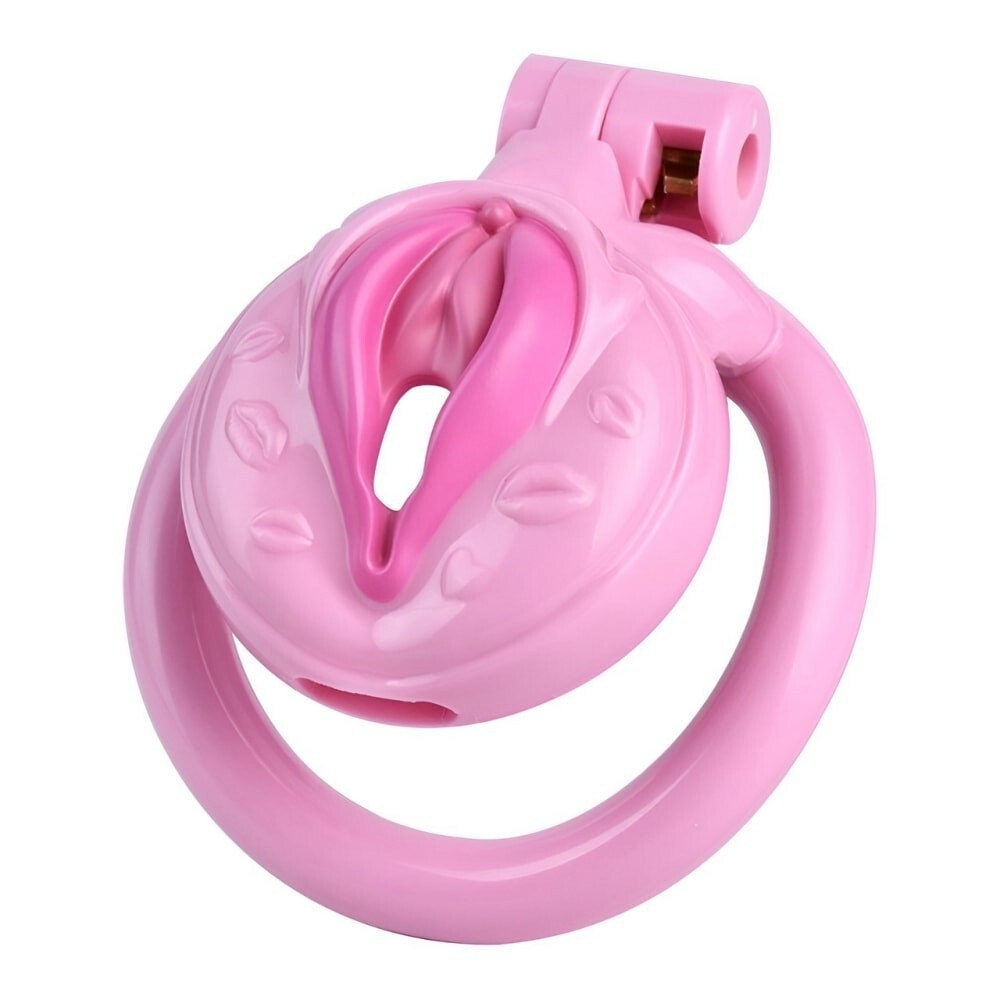 ABS Resin 4 Colors Sissy Realistic Pussy Chastity Cage with 4 Rings Lock Devices