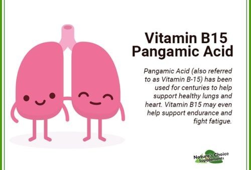 Vitamin B15 Pangamic Acid Formula