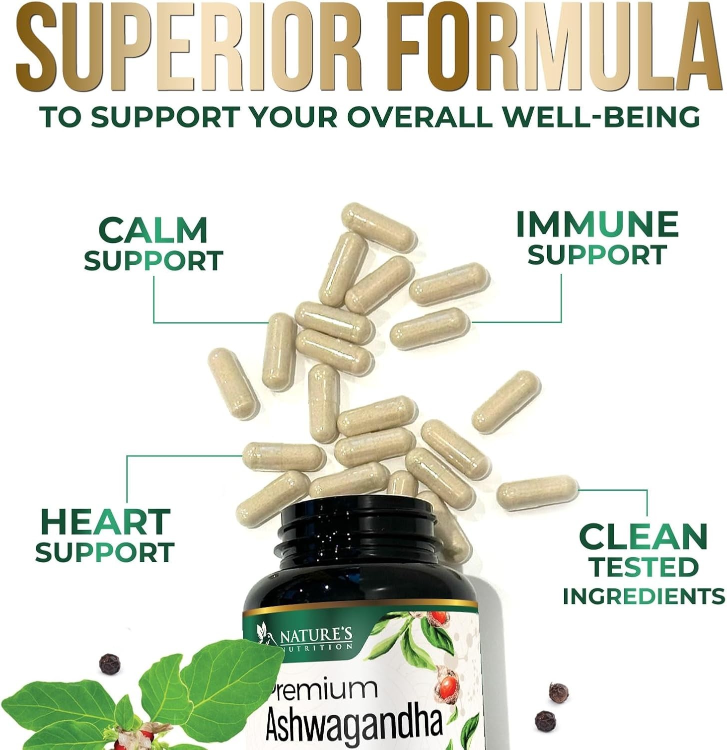 Ashwagandha Supplements – Premium Capsule 120 Count (Pack of 1)