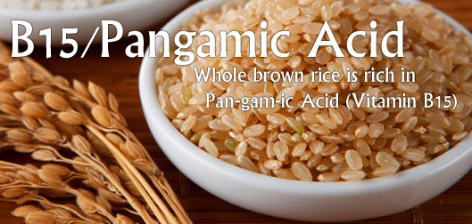 Vitamin B15 Pangamic Acid Formula
