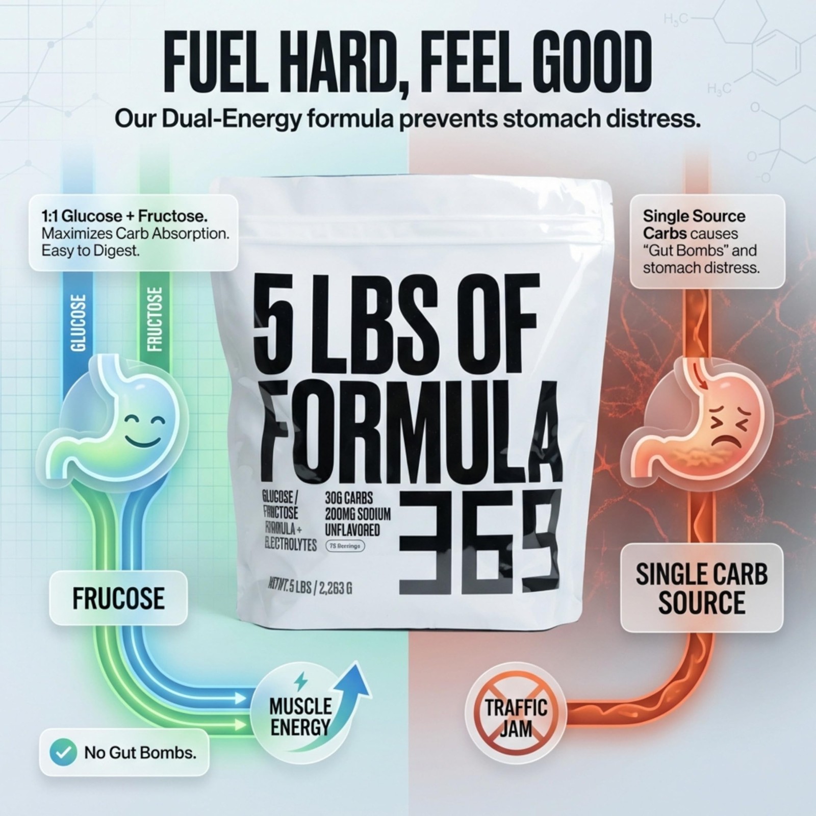 High Carbohydrate Sports Fuel – Value Size 5 lb (73 Servings) for Energy & Hy…