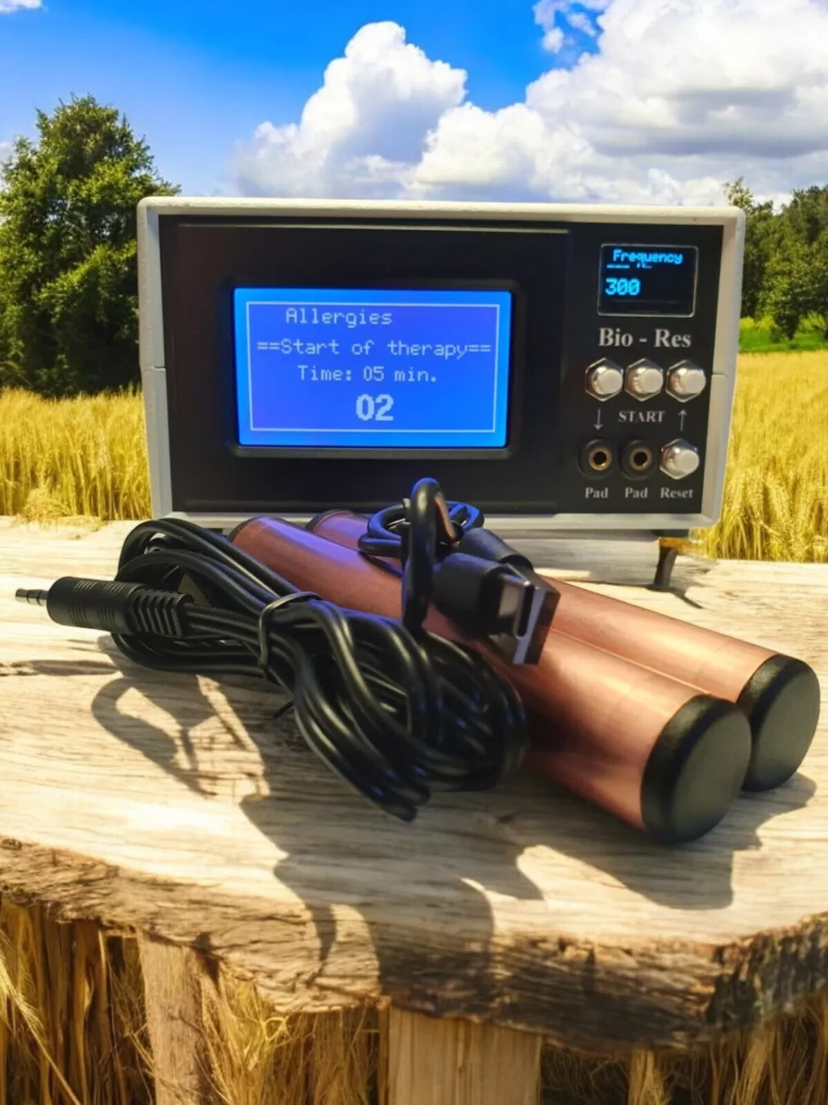 Professional Rife/Hulda Frequency Generator!