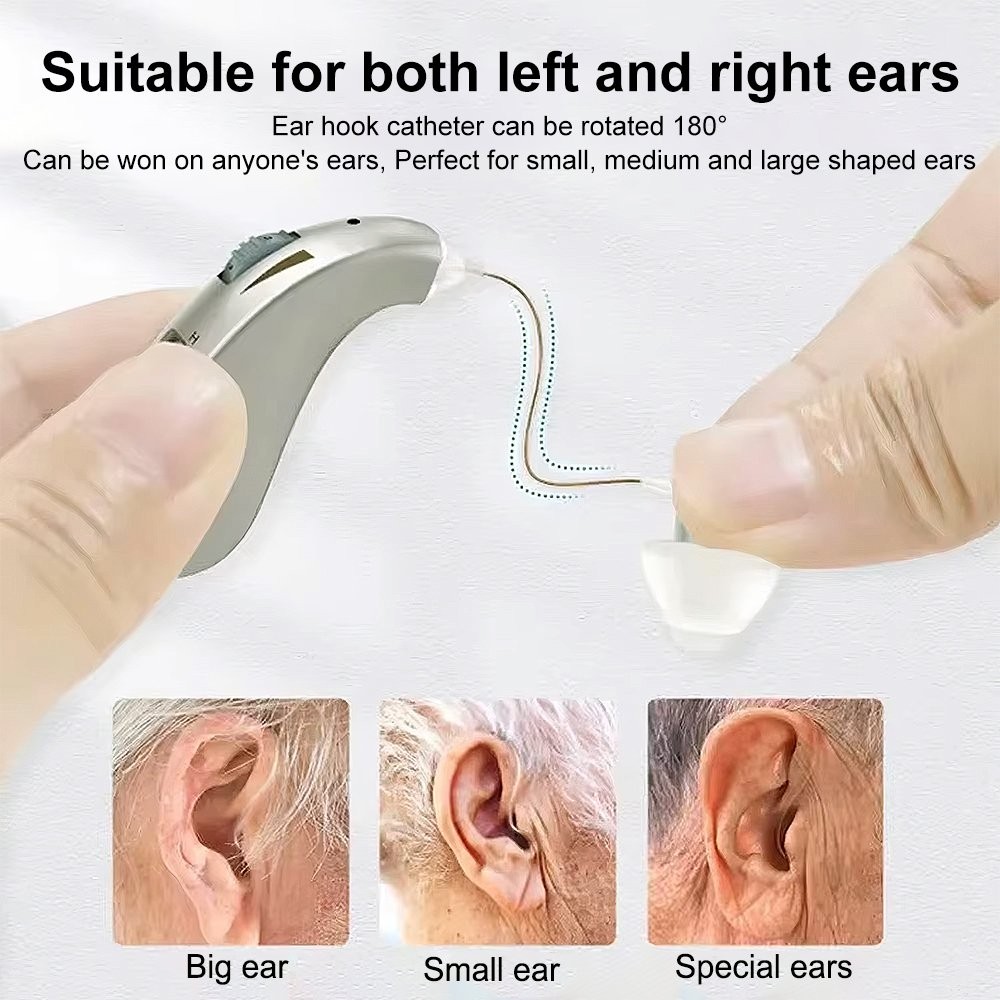 Behind-The-Ear Severe Hearing Loss Hearing Aid Noise Reduction w/ Charging Case