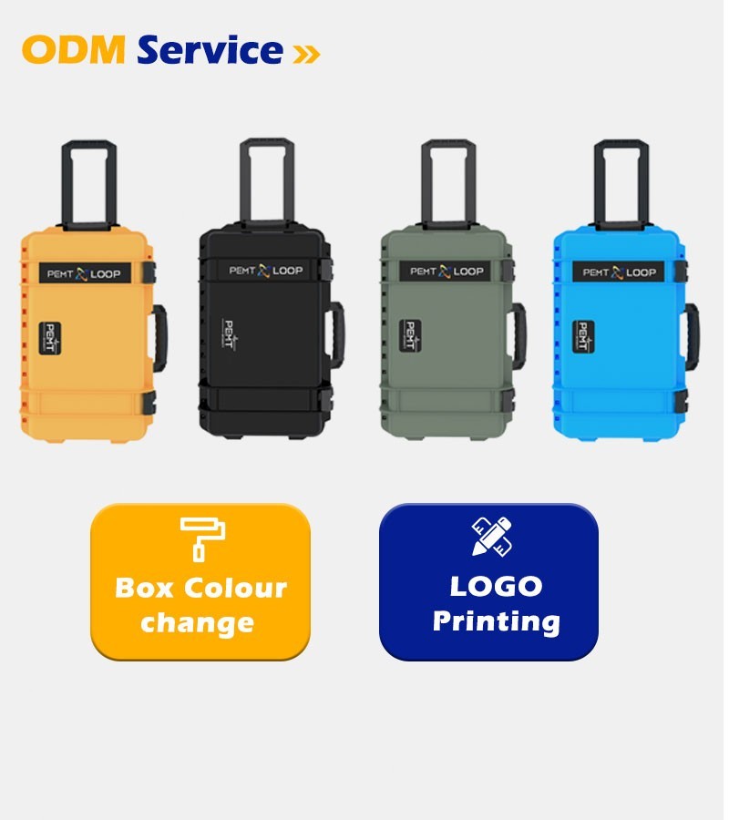 PEMF PMST LOOP Magnetic Therapy Machine for Horse Human Pain Rehabilitation