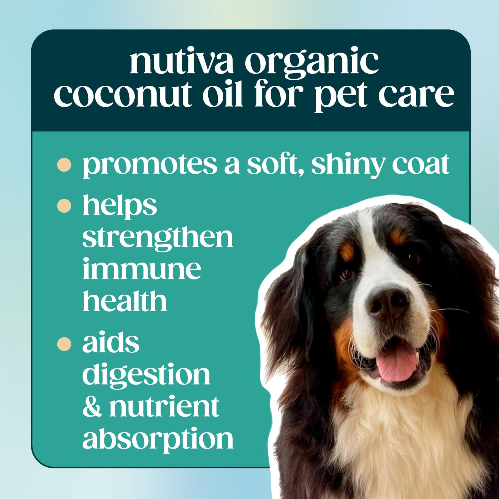 Nutiva Organic, Cold-Pressed, Unrefined, Virgin 15 Fl Oz (Pack of 1), Default