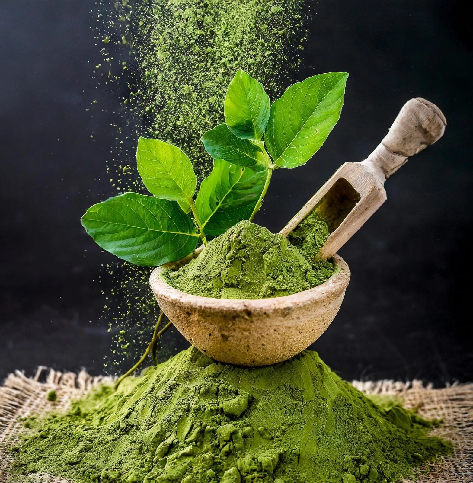 Bhringraj Powder Pure Organic Herbal for Hair Growth & Scalp