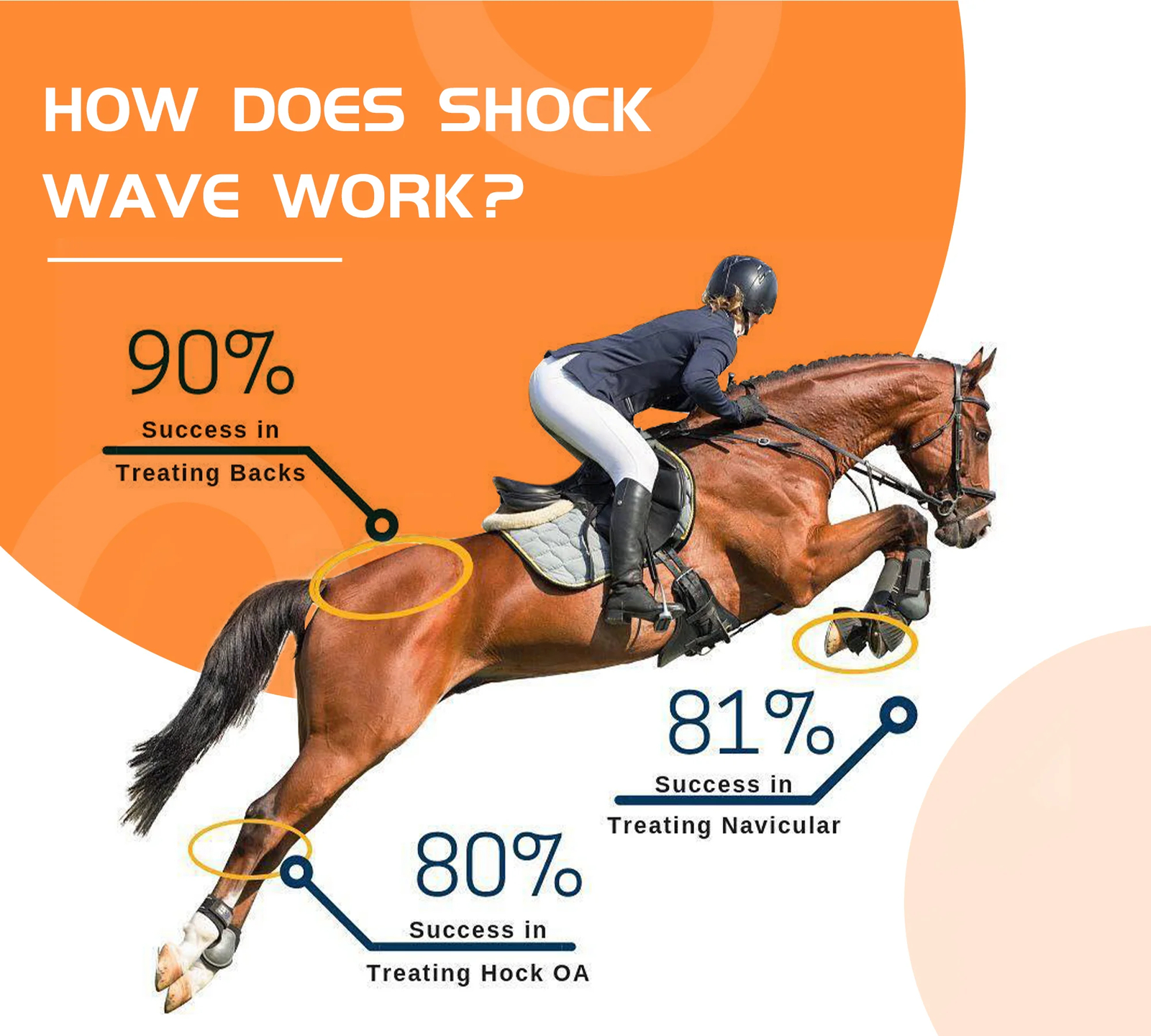 Portable Shockwave Therapy Machine Equine Shock Wave for Horse Pain Relief