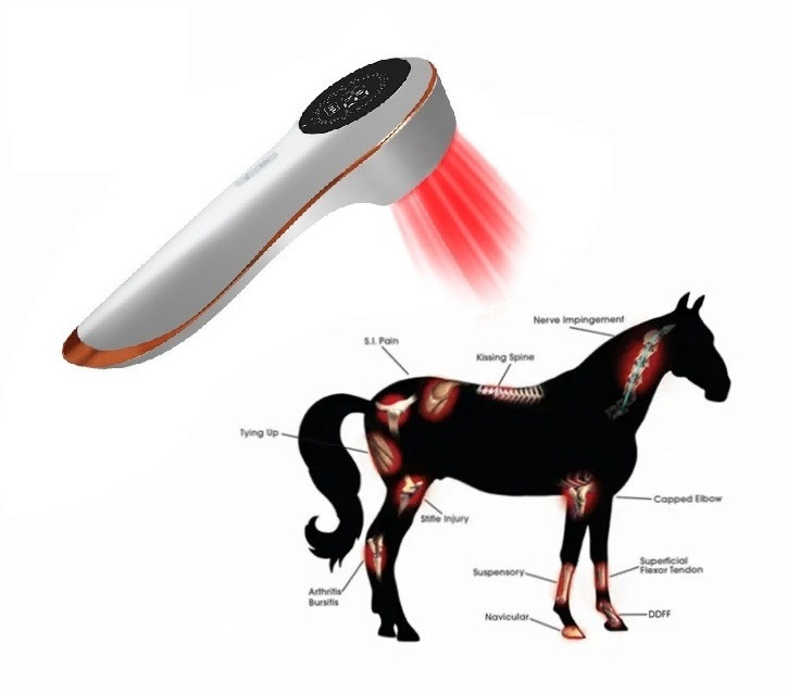 Prof. & Home Low Level Laser Therapy Cold Laser Unit Body Pain Relief Therapy