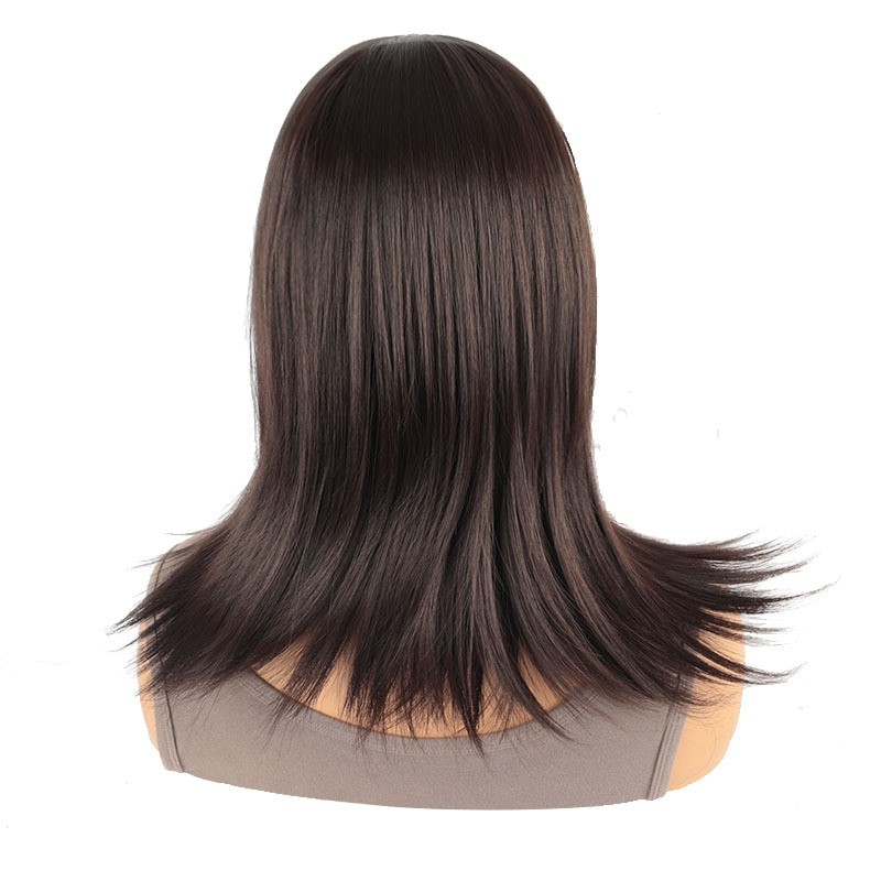 Brown Parted Bangs Long Straight Wig for Women Heat Resistant Synthetic Full Wig