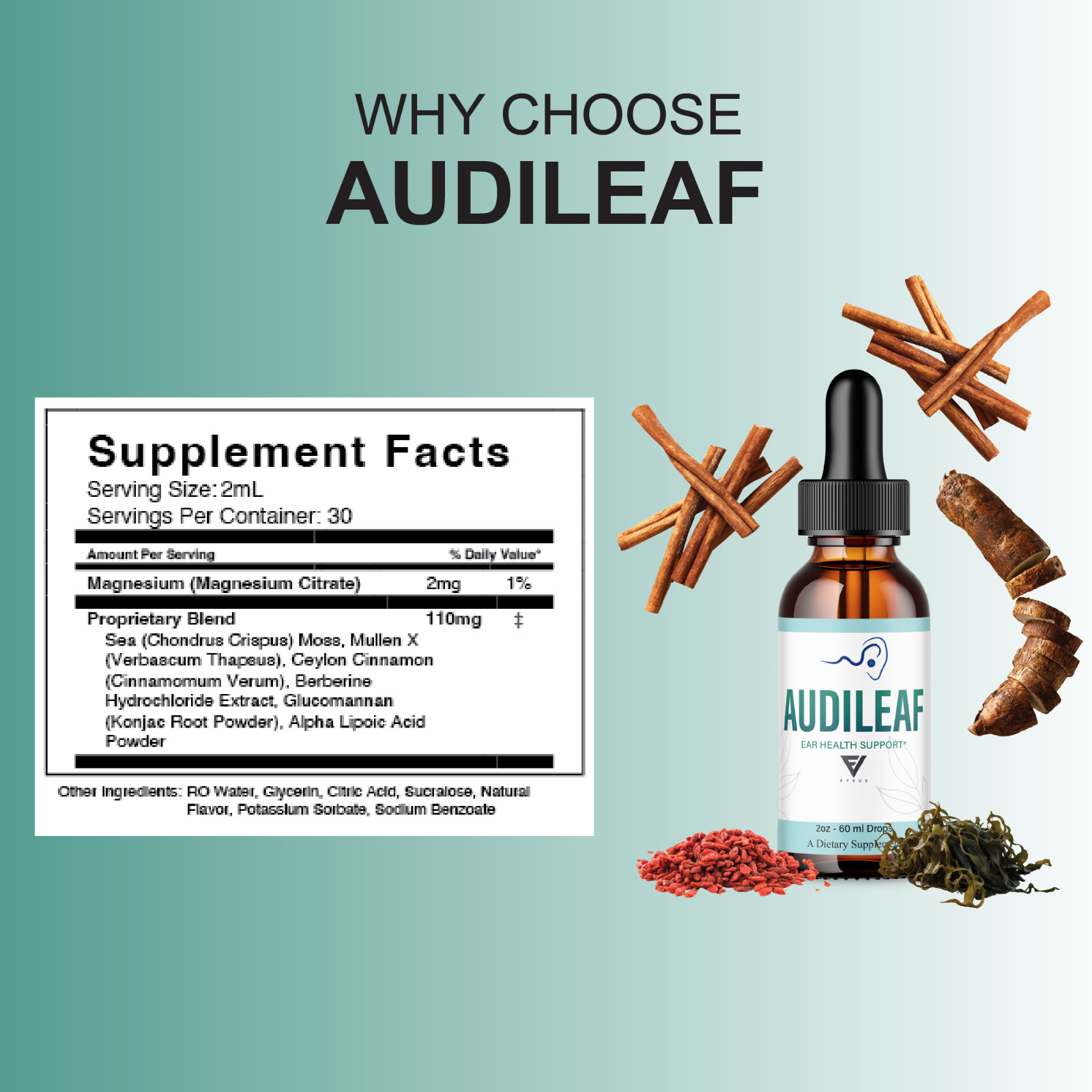 (5 Pack) Audileaf Drops, Audileaf Tinnitus Support Liquid Supplement (10oz)